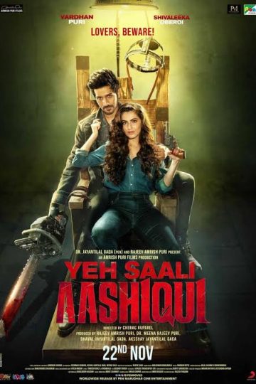 Yeh Saali Aashiqui ( 2019 )