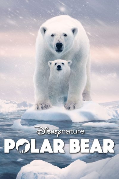 مشاهدة فيلم Polar Bear 2022 اون لاين
