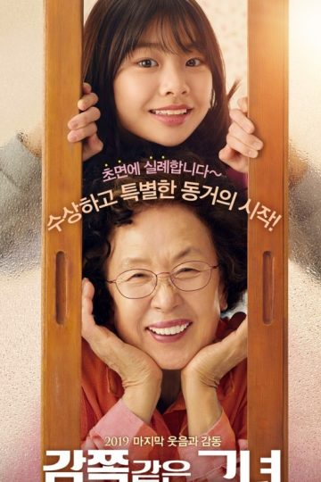 A Little Princess ( 2019 )