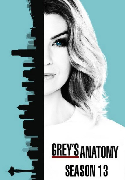 مشاهدة مسلسل Grey's Anatomy الموسم الثالث عشر الحلقة 24