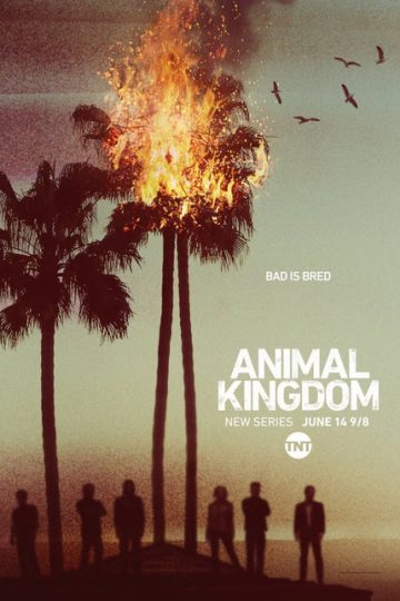 Animal Kingdom الموسم الاول الحلقة 9