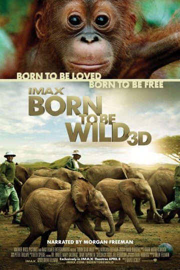 Born to Be Wild ( 2011 )